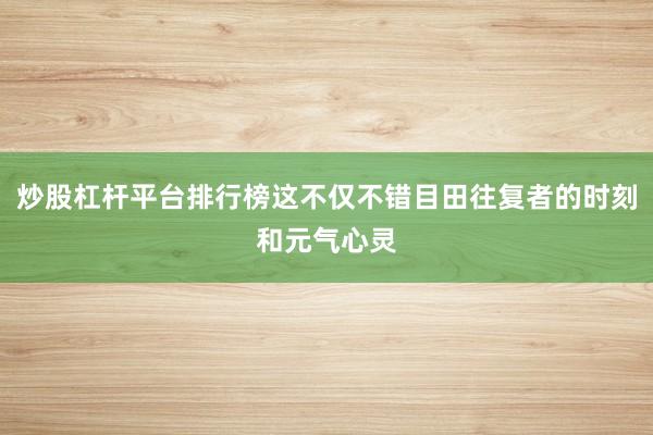 炒股杠杆平台排行榜这不仅不错目田往复者的时刻和元气心灵