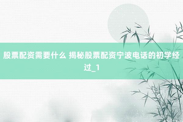 股票配资需要什么 揭秘股票配资宁波电话的初学经过_1