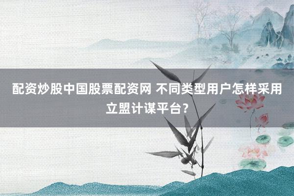 配资炒股中国股票配资网 不同类型用户怎样采用立盟计谋平台？